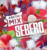 Табак для кальяна SEBERO Arctic Mix с ароматом Tropic Berry (Клубника/Личи/Ревень с ч. смородиной/Арктик), 25гр.