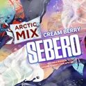 Табак для кальяна SEBERO Arctic Mix с ароматом Cream Berry (Черника/Ваниль/Вишня-Гранат/Чай /Арктик), 25гр.